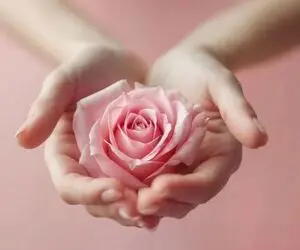 لابیا پلاستی چیه؟