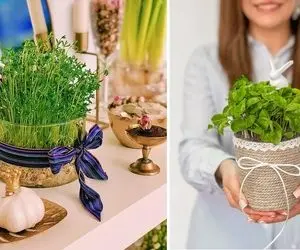 ایده های خلاقانه و زیبا برای سبزه عید 1404 + بهترین زمان کاشت تا نکات نگهداری
