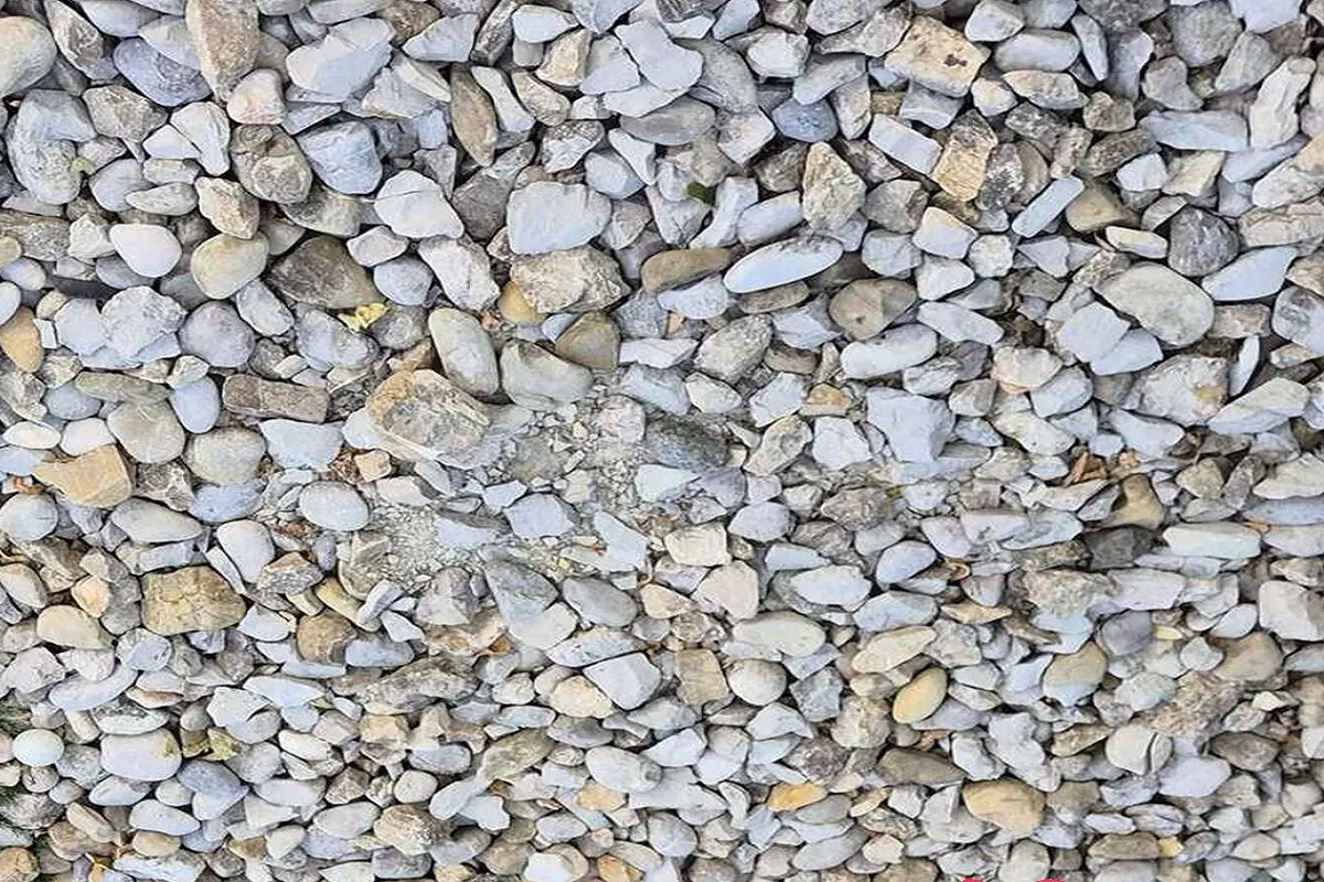 گلف1