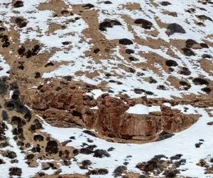 بازی فکری؛ چشم یه شکارچی میخواد که بشه پرنگ برفی رو تو کوهستان پیدا کرد