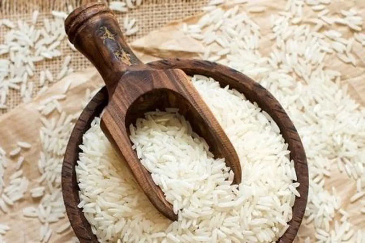 روش-تضمینی-از-بین-بردن-شپشک-برنج-450x300