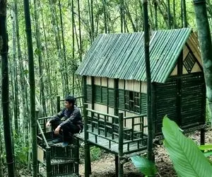 معماری خلاقانه؛ آقاهه با چوب بامبو تو جنگل کلبه ساخته شاهکار فقط راه پله خونشو ببین