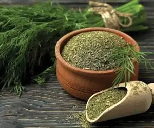 ترفندهای خانگی؛ همه نکات خشک کردن شوید با حفظ عطر و طعم