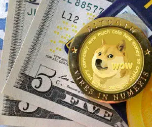 سقوط دوج کوین پس از توییت ایلان ماسک