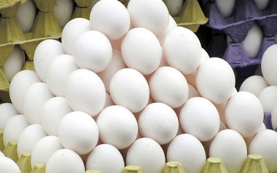 آیا عرضه تخم مرغ فله از بهمن ممنوع خواهد شد؟