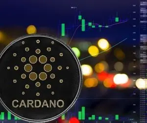 قضیه رکورد آدرس های کاردانو چیست؟