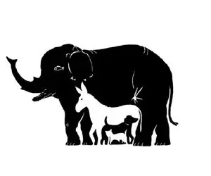 تست روانشناسی تصویری؛ بگو تو تصویر چند تا حیوون میبینی تا ویژگی خَفن طور ازت رو کنم هااا