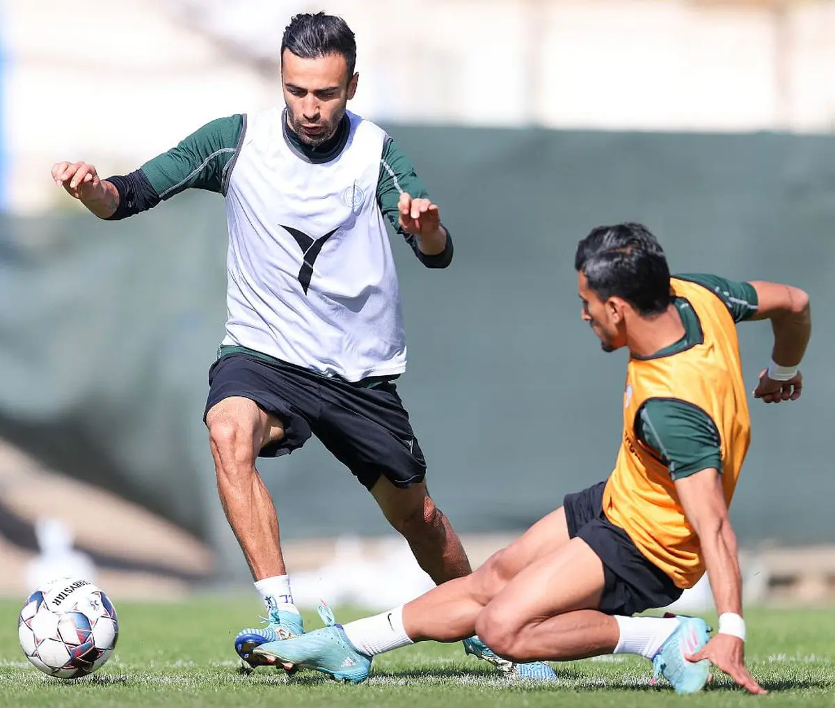 photo_2023-11-18_11-36-28