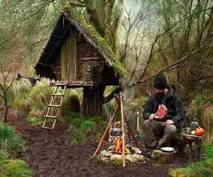 معماری خلاقانه؛ به جای چوب وسط جنگل با خزه رو کنده درخت خونه ساخت واسه زنده موندن