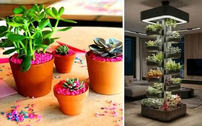 گیاه آپارتمانی مناسب هر سبک دکوراسیون؛ انتخاب جهت رسیدن به زیبایی منحصر به فرد خانه