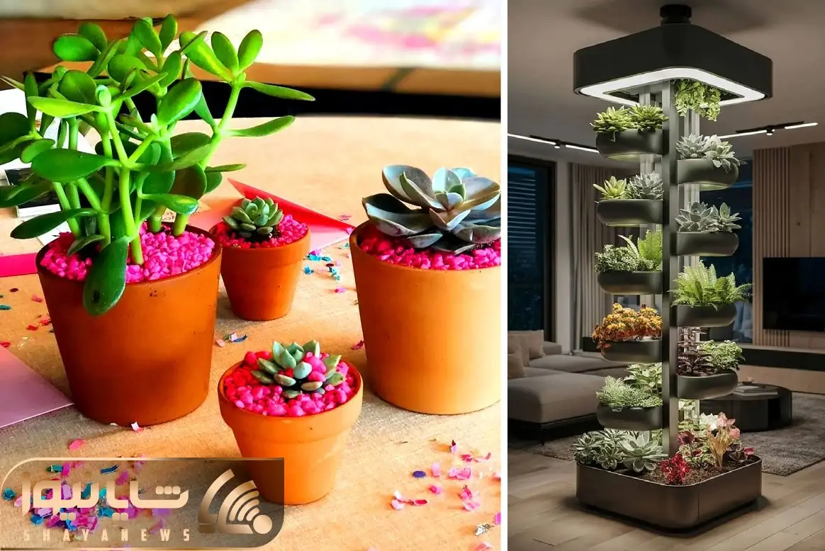 گیاه آپارتمانی مناسب هر سبک دکوراسیون؛ انتخاب جهت رسیدن به زیبایی منحصر به فرد خانه