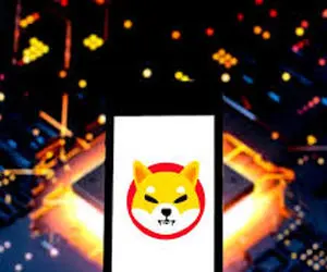 شیبااینو چالش برانگیز شد!!