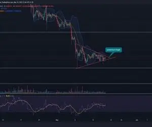 پیش بینی مهم از شیبااینو زمان خرید؟