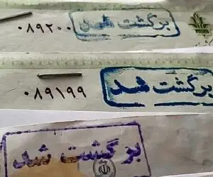 بانک سپه و چالش چک های صیاد برگشت خورده