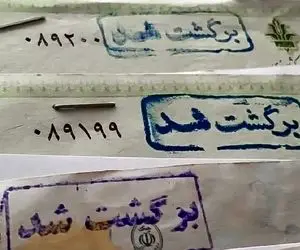 بانک سپه و چالش چک های صیاد برگشت خورده