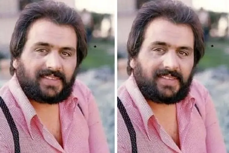 آهنگ دیوانه شدم با صدای سلی؛ ایرانی که افغانی خوند و رقصید