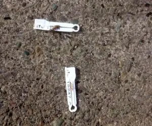 بندناف نوزادان در حیاط دانشگاه صنعتی شریف چه می‌کند؟