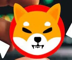 نهنگی که شیبااینو را به چالش کشید!!