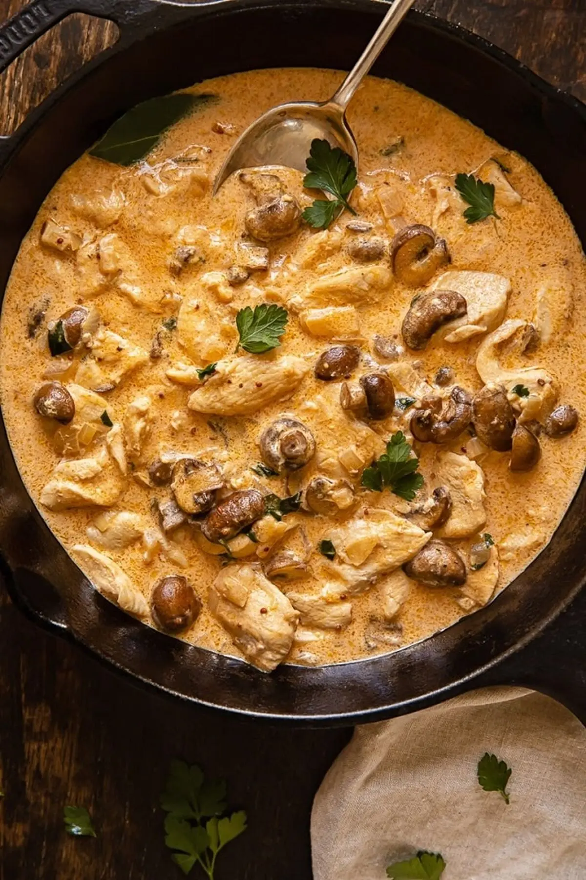 طرز تهیه چسکن استراگانف