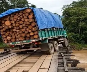 معماری طبیعت؛ بیچاره واس یه قرون دوزار بیشتر، زیاد بار زد همه سرمایه اش نابود شد