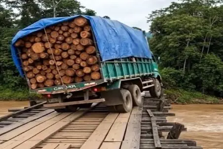 معماری طبیعت؛ بیچاره واس یه قرون دوزار بیشتر، زیاد بار زد همه سرمایه اش نابود شد