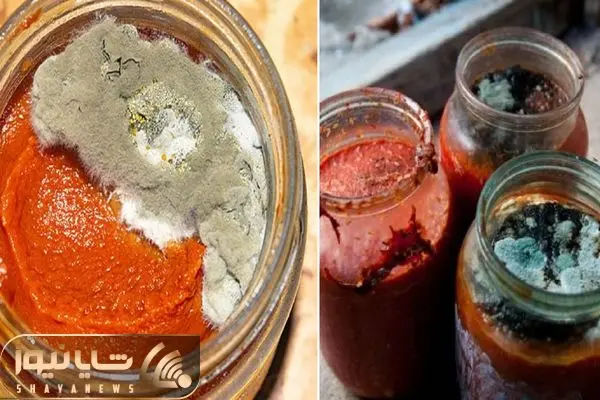 ترفند جلوگیری از کپک رب گوجه فرنگی