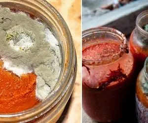 ترفند های جلوگیری از کپک زدن رب گوجه فرنگی؛ اینجوری تا صد سال موندگاره