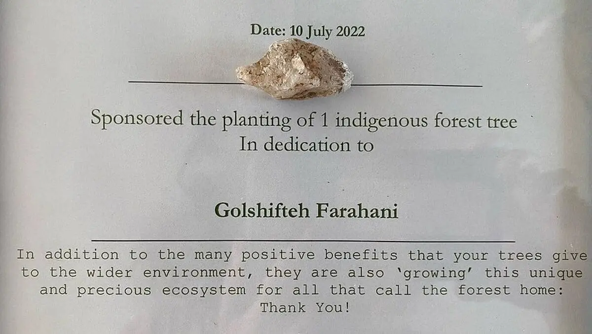 golfarahani_292992328_449247220450631_7085020867799353033_n