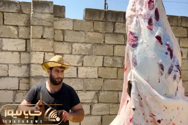 خاص تزین غذا