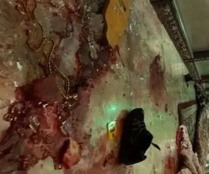 لحظه ورود فرد تروریست به حرم شاهچراغ