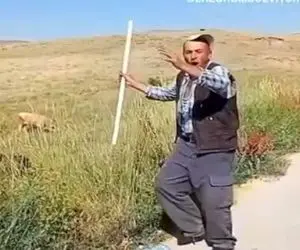 آواز محلی؛ چوپون شاد برای باز شدن  اشتهای گوسفنداش هم خوند و همزمانم پایکوبی میکنه