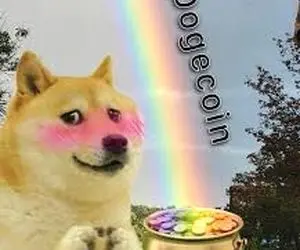 خارق العاده ترین اتفاق ممکن برای دوج کوین!