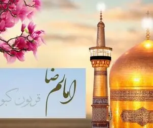 آواز خیابانی؛ ببینید زائز خوش ذوق چه خالصانه آهنگ قربون کبوترای حرمت رو تو صحن خوند