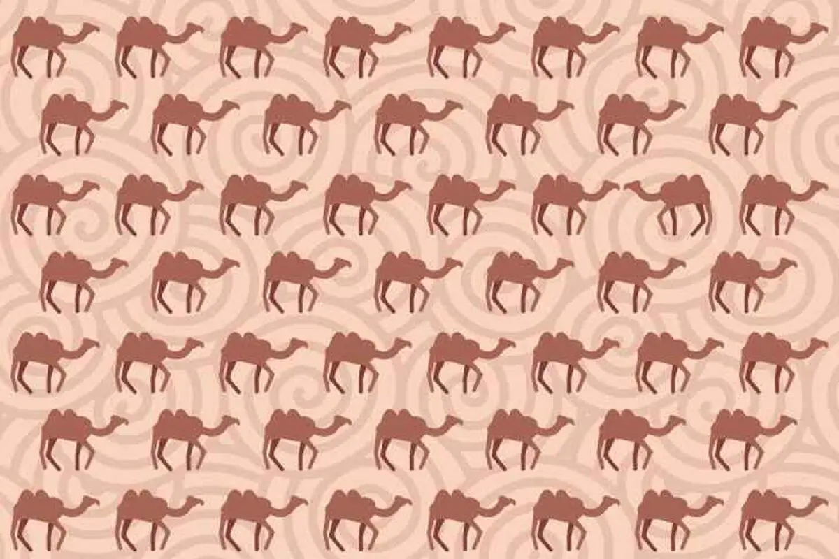 شتری