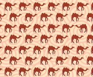 بازی فکری؛ اگه میخوای نفر اول تو صف باهوشا باشی شتر استتار کرده رو پیدا کن