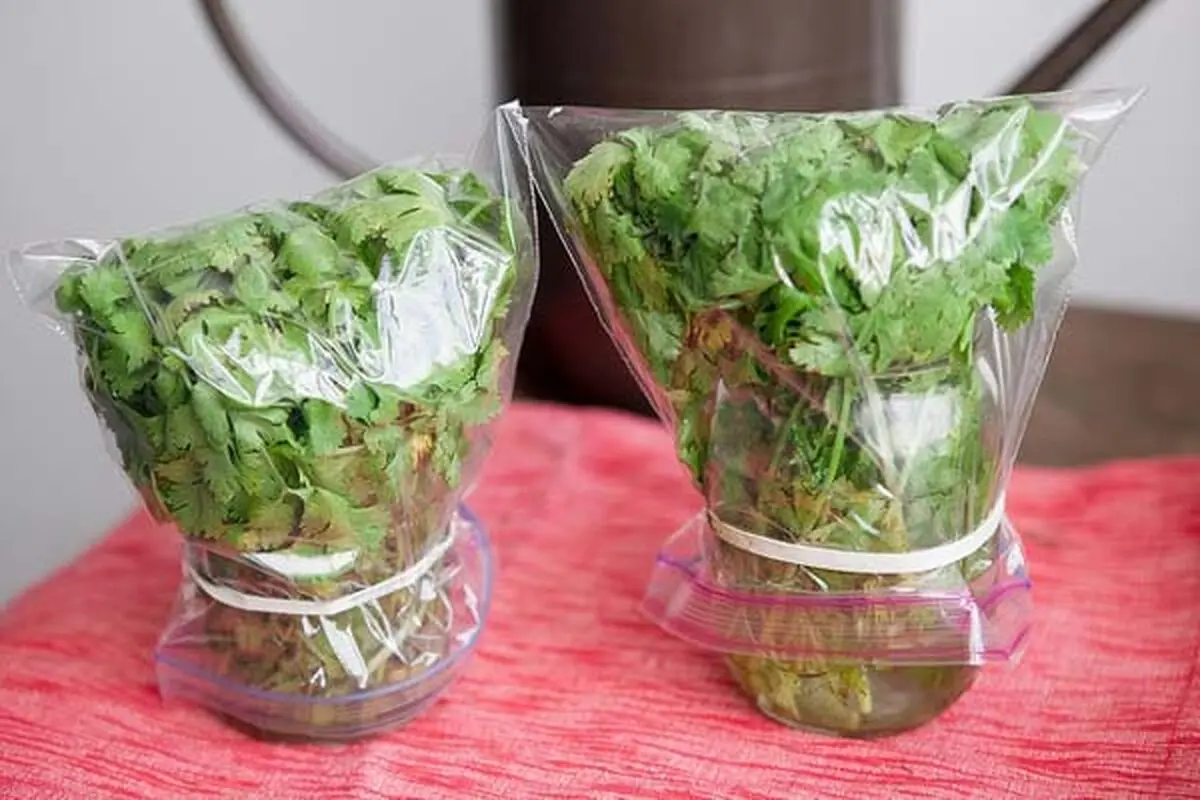 herb-storage-3