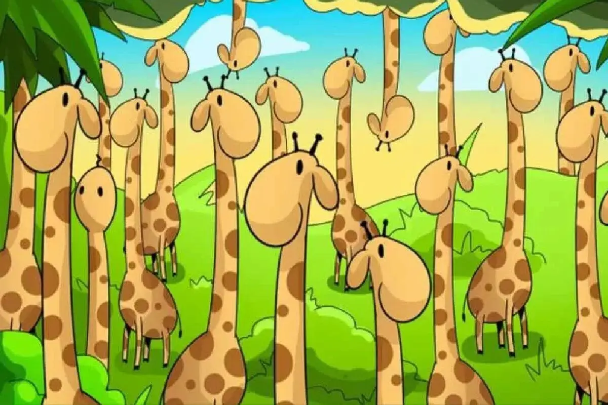 درخت