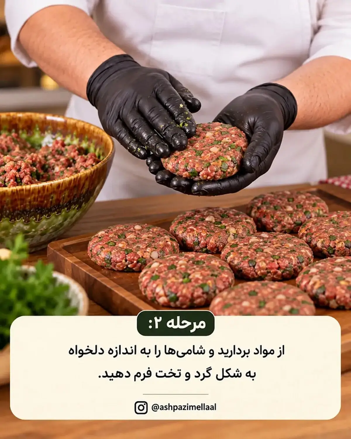 شامی ترش 2