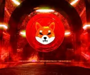 اتفاقی سنگین و پرخطر برای کاربران شیبااینو!!