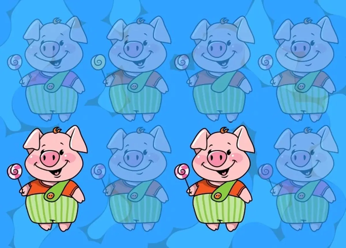 آزمون-شناسایی-خوکچه-های-مشابه-3