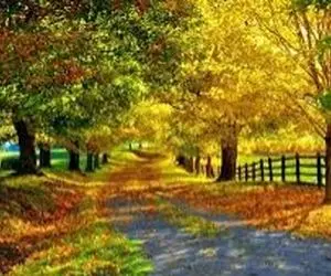 5 تا از عاشقانه‌ترین مقاصد برای سفر پاییزی