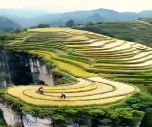 معماری خلاقانه؛ بالا کوه زمین کشاورزی با الهام از موج دریا ساختن از دیدنش سیر نمیشی