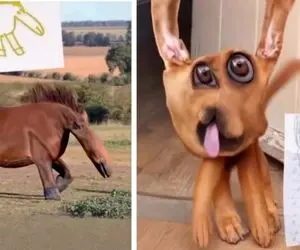 عجایب خلق شده؛ اگر نقاشی بچه ها به واقعیت تبدیل میشد این شکلی بود، خداروشکر نشد...