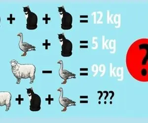 بازی فکری؛ نوابغی که بند بند وجودشون رو هوش گرفته میتونن وزن حیوونارو درست دربیارن