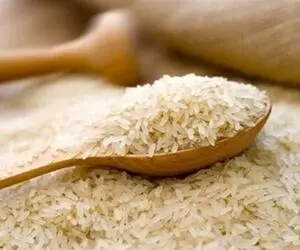 پشت پرده ماجرای ریختن چندین تُن برنج به دریا