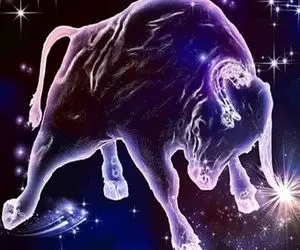 فال قهوه ی متولدین اردیبهشت امروز ۱ مرداد ۱۴۰۵؛ عشقت تو راهه خبر داری؟