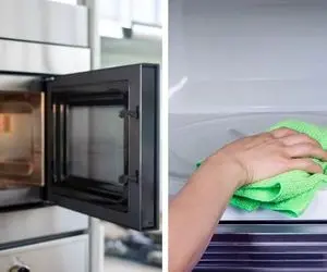 ترفندای عالی برای تمیز کردن ماکروفر / شوینده شیمیایی ممنوع با اینا که میگم تمیزش کن