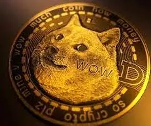 آیا دوج کوین ازبین خواهد رفت؟