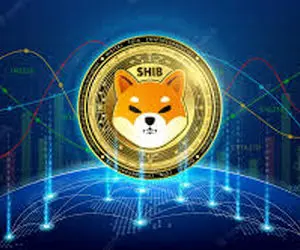 خبری مهم برای کاربران شیبااینو!