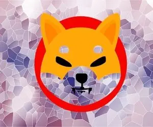 روندی جنجال برانگیز از شیبااینو!